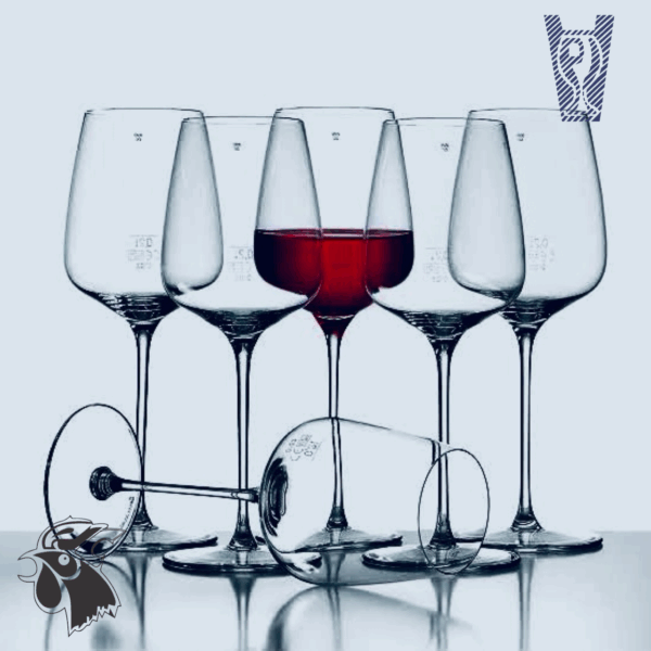 Copa de Vino NOVA
