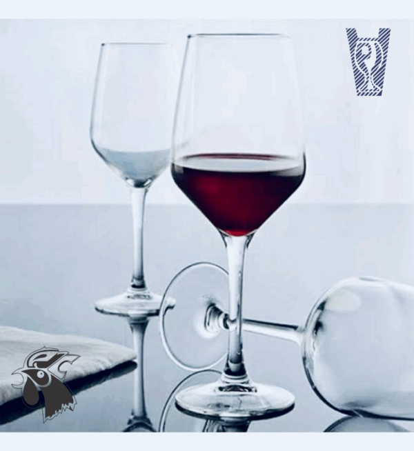 Copa de Vino NOVA
