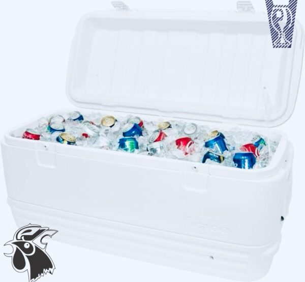 WhatsApp Image 2025-08-11 at 12.21.58 (1) Hielera Igloo 120qt