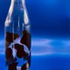 img_3013-2 Botella VK 1L