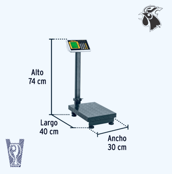 img_6373 Bascula de 100kg Plegable Pretul