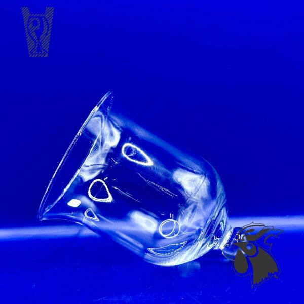 WhatsApp Image 2025-11-14 at 16.48.50 (11) Domo de Cristal Chico Crisa